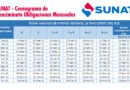Cronograma vencimiento declaraciones mensuales 2022 SUNAT